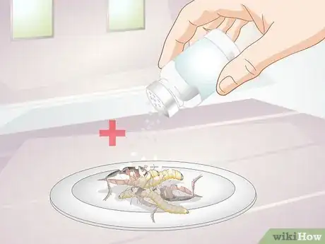 Imagen titulada Feed a Bearded Dragon Step 6