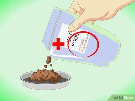 Imagen titulada Get Rid of Dry Skin on Cats Step 7