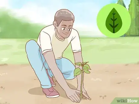 Imagen titulada Propagate Bougainvillea Step 12