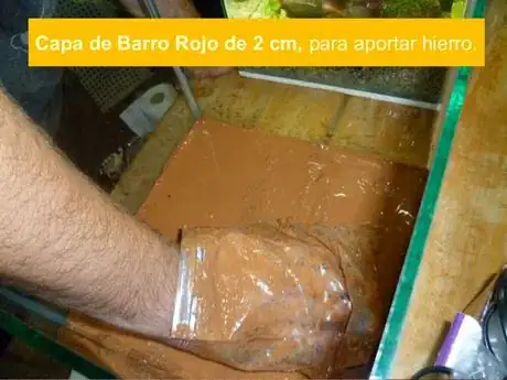 Imagen titulada Slide 17 638
