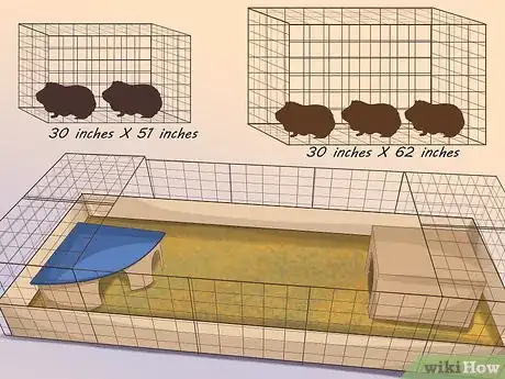 Imagen titulada Help a Guinea Pig Feel Less Anxious Step 1