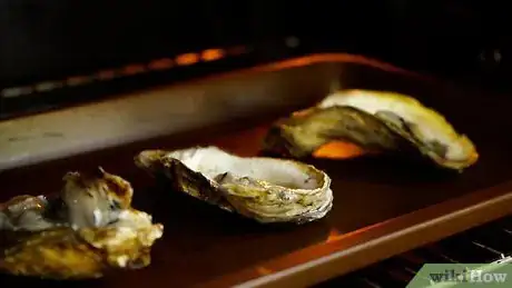 Imagen titulada Clean Oysters Step 10