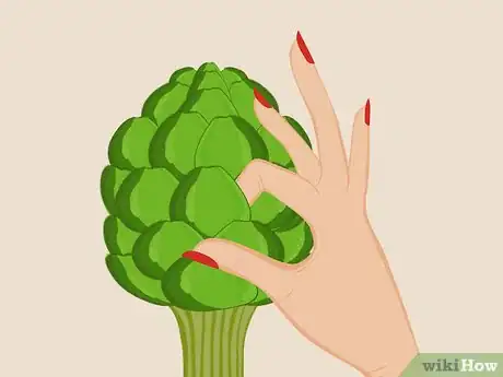 Imagen titulada Select and Store Artichokes Step 2
