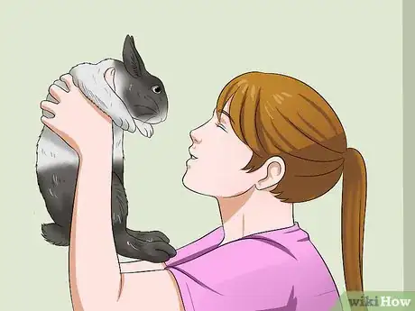Imagen titulada Care for a Sneezing Rabbit Step 10