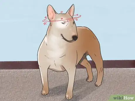 Imagen titulada Recognize Poisoning in Dogs Step 4