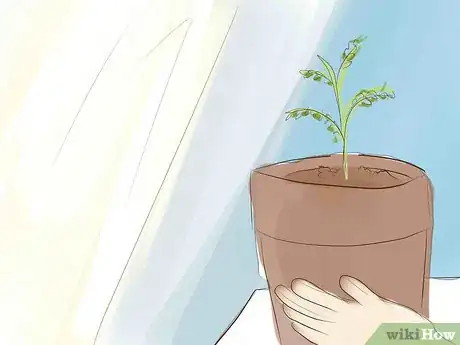 Imagen titulada Protect Your Garden During a Harsh Summer Step 4