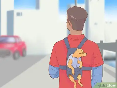 Imagen titulada Introduce a Dog to a Dog Park Step 15