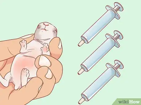 Imagen titulada Nurse a Baby Rabbit Step 11