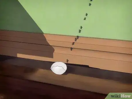 Imagen titulada Kill Ants Using Borax Step 7