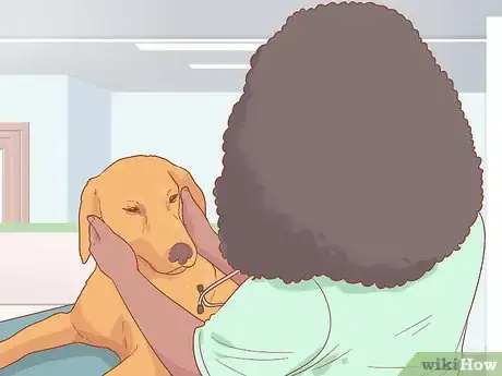 Imagen titulada Travel by Car with Your Dog Step 7