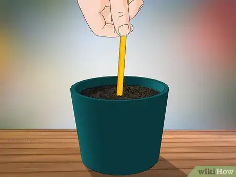 Imagen titulada Grow Jasmine from Cuttings Step 7