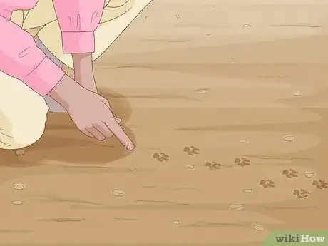 Imagen titulada Catch Weasels Step 14
