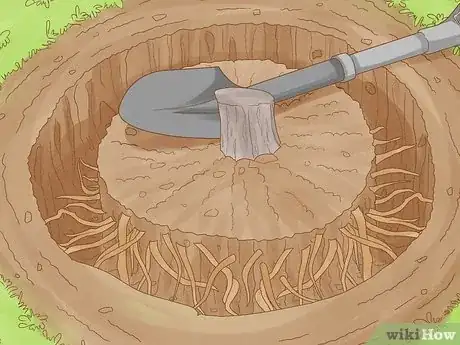 Imagen titulada Remove Bushes Step 11