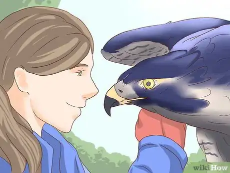 Imagen titulada Become a Falconer Step 3