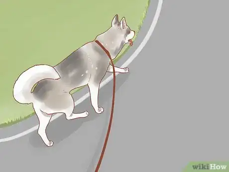 Imagen titulada Travel by Car with Your Dog Step 3