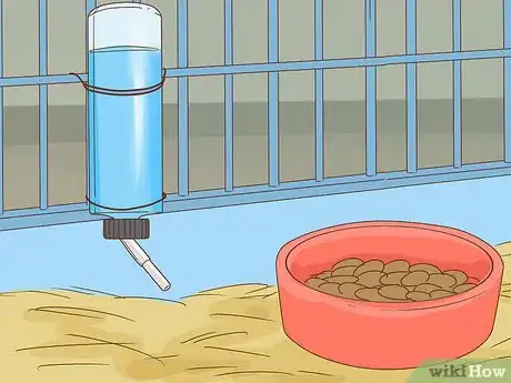 Imagen titulada Help Your Guinea Pig Live a Long Life Step 2