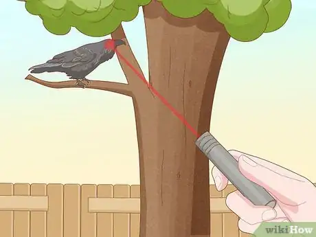 Imagen titulada Get Rid of Crows Step 13