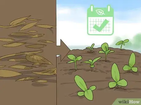 Imagen titulada Prune Coneflowers Step 5