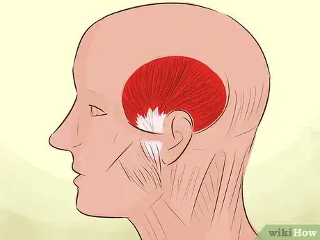 Imagen titulada Massage Away a Headache Step 18