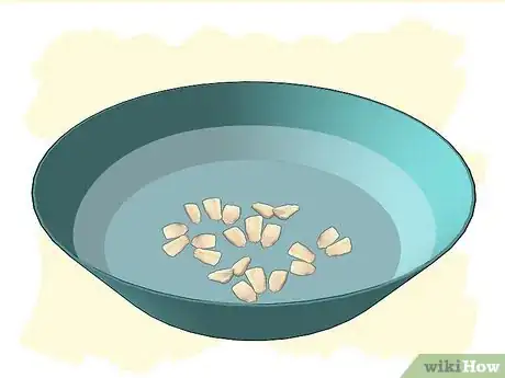 Imagen titulada Grow Gourds Step 7