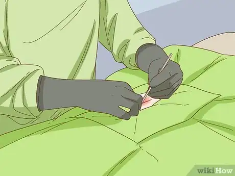 Imagen titulada Treat Spay Incontinence in Female Dogs Step 5