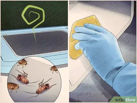 Imagen titulada Breed Feeder Roaches Step 15