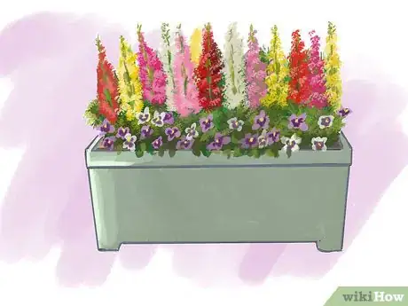 Imagen titulada Plant Pansies in Containers and Pots Step 3