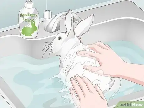Imagen titulada Keep a Rabbit Clean Step 11