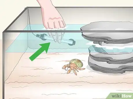 Imagen titulada Care for a Marine Hermit Crab Step 10