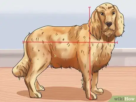 Imagen titulada Calculate Dog Years Step 4