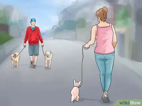 Imagen titulada Care for Your Chihuahua Step 15