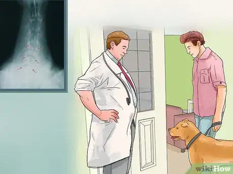 Imagen titulada Treat Neck Pain in Dogs Step 15