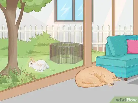 Imagen titulada Care for an Injured Rabbit Step 14