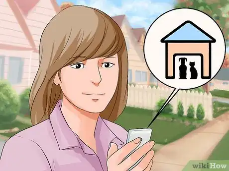 Imagen titulada Look After a Rabbit That Needs Its Teeth Trimmed Step 2
