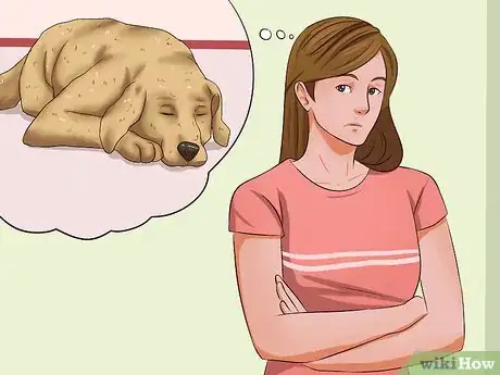 Imagen titulada Ease Your Dog's Stomach Problems Step 1