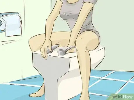 Imagen titulada Use a Bidet Step 3