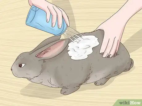 Imagen titulada Get Rid of Fleas on Rabbits Step 3