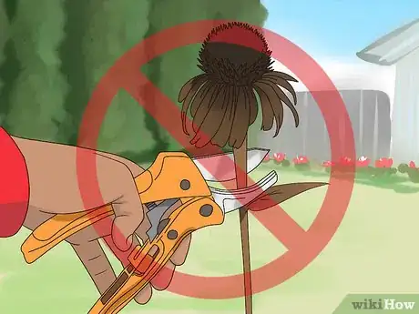 Imagen titulada Prune Coneflowers Step 3