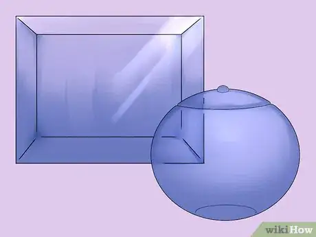 Imagen titulada Build a Self Sustaining Ecosystem Step 1