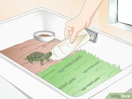 Imagen titulada Feed Your Turtle if It is Refusing to Eat Step 12