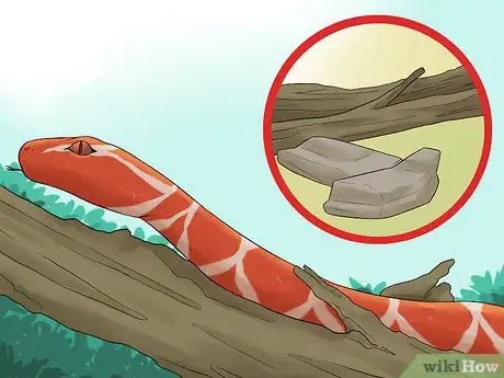 Imagen titulada Care for a Shedding Snake Step 6