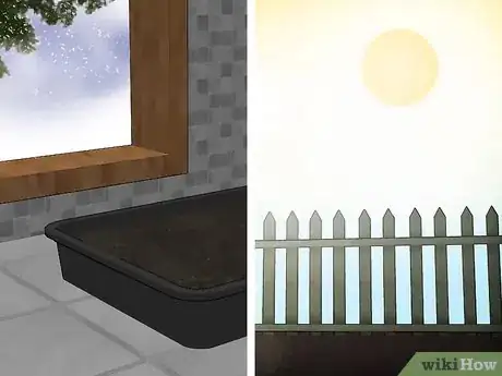 Imagen titulada Grow Gourds Step 2