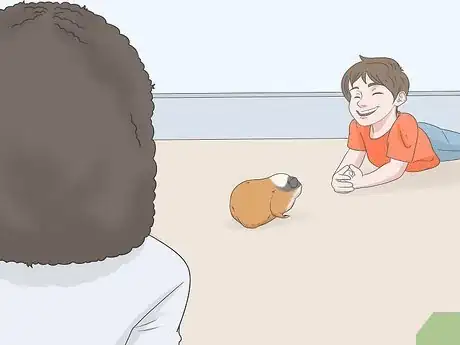 Imagen titulada Hold a Guinea Pig Step 16