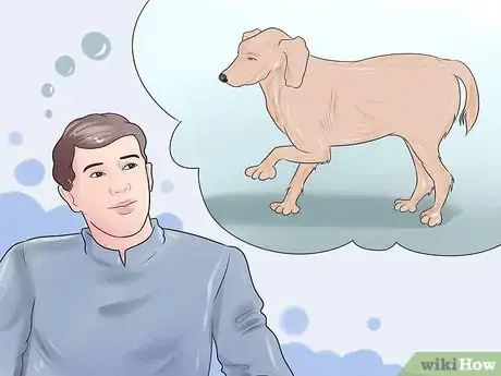 Imagen titulada Heal a Torn Dog ACL Without Surgery Step 1
