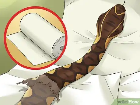 Imagen titulada Care for a Shedding Snake Step 7