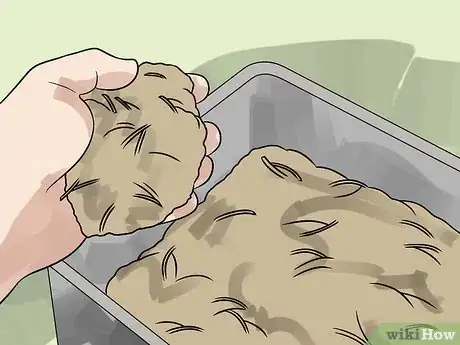 Imagen titulada Care for Your Box Turtle Step 6
