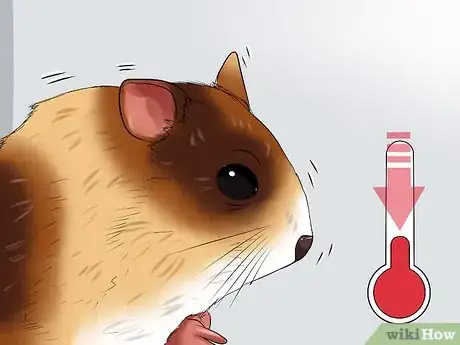 Imagen titulada Care for Your Shocked Hamster Step 1