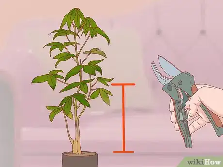 Imagen titulada Prune a Money Tree Step 9