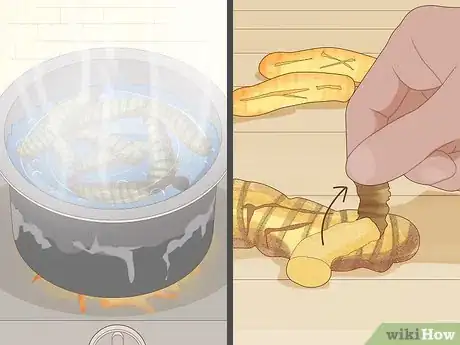 Imagen titulada Grow Turmeric Step 22