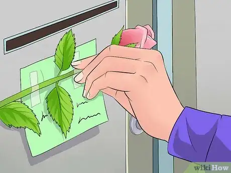 Imagen titulada Be a Secret Admirer on Valentine's Day Step 8